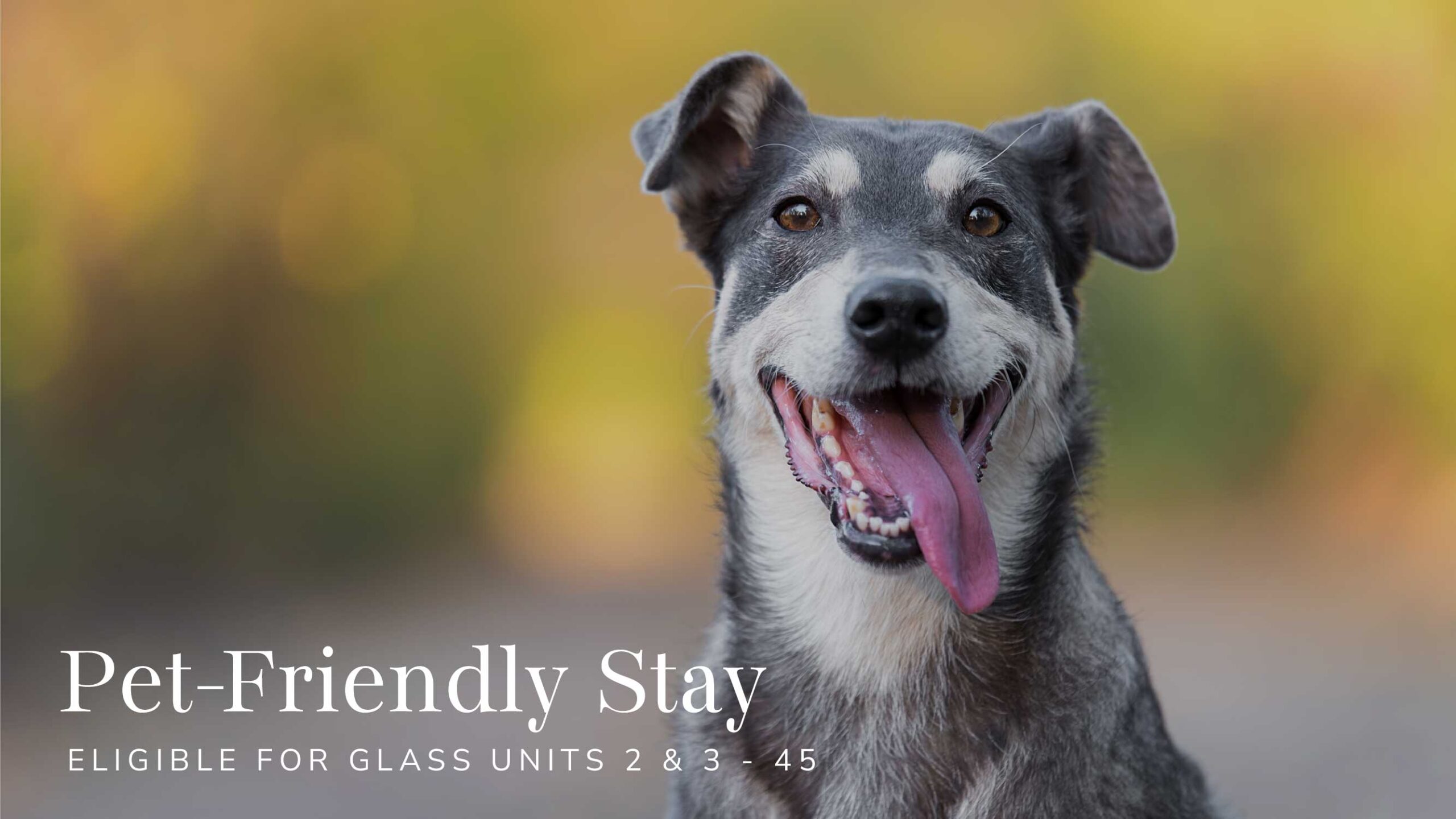 Pet-Friendlt Stay Charge