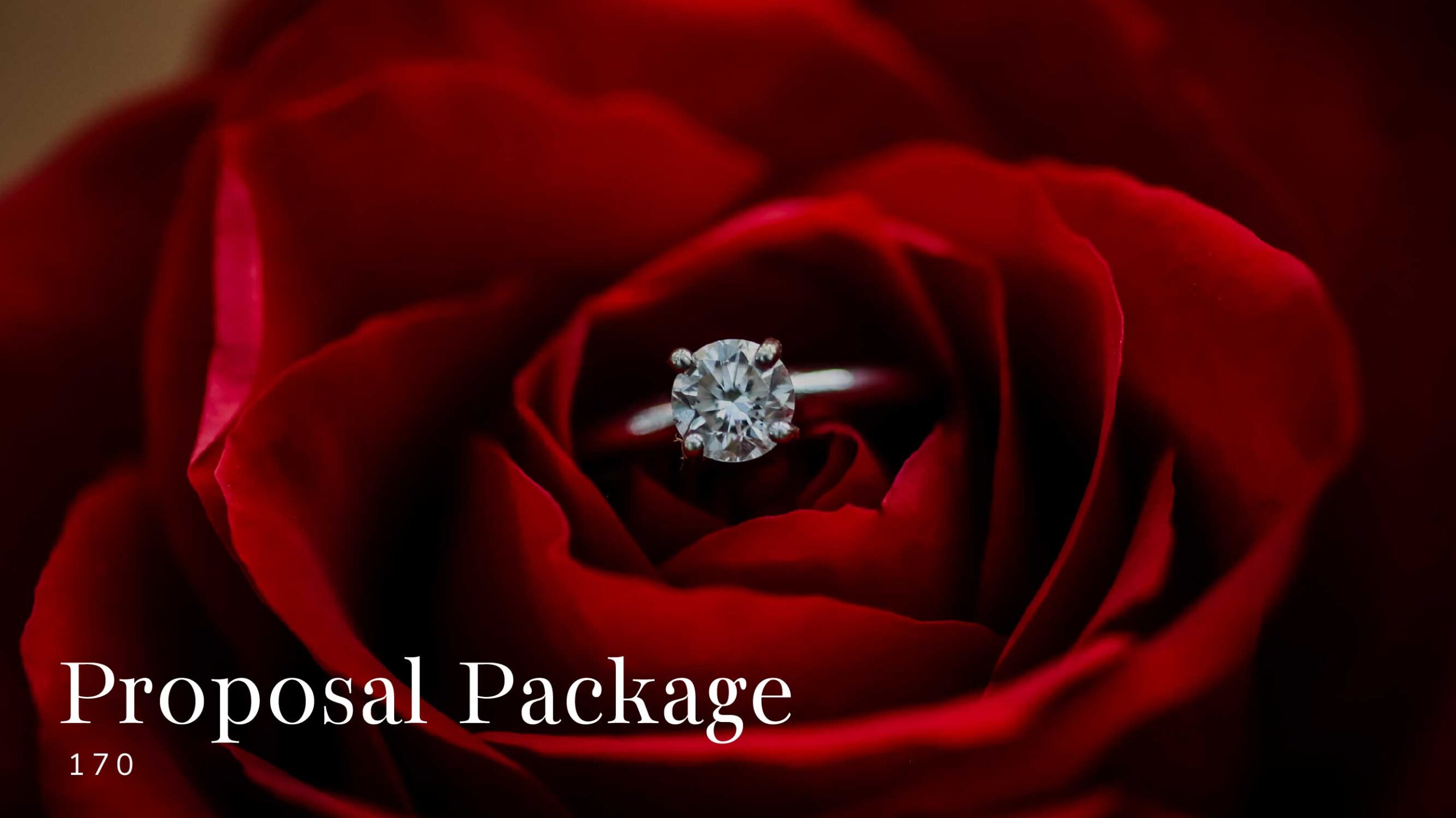 Proposal Package